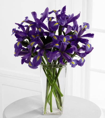 Iris Riches Arrangement - bouquet of blue iris in a clear glass vase.