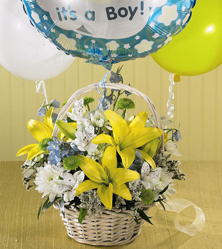 Boys Are Best! Bouquet - floral arrangement in a basket with balloons reading 'it's a Boy!'.