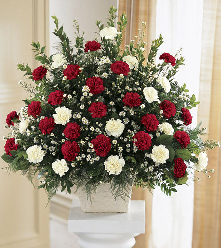 Devotion Arrangement - bouquet of red and white carnations in a decorative pot .