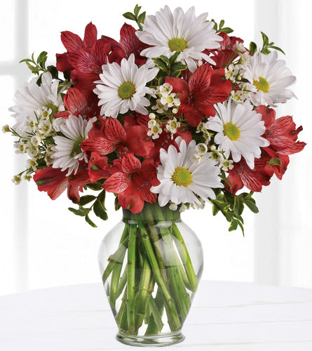 Dancing in Daisies - Bouquet of red alstroemeria and white daisies in a clear vase.