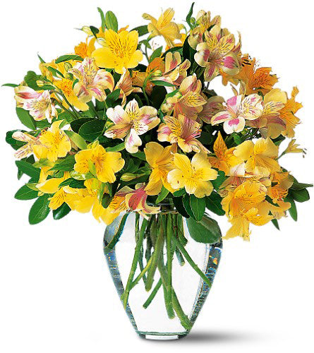 Sparkling Alstroemeria - Bouquet of yellow and pink alstroemeria in a clear glass vase.