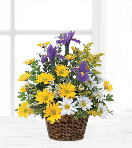 Smiling Spring Basket - bouquet of flowers with yellow daisies, blue iris, and white asters in a wicker basket.