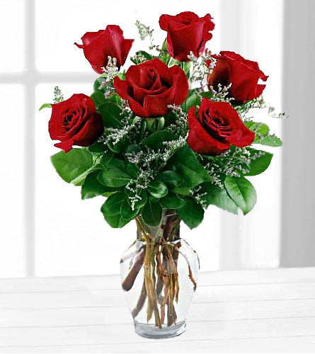Six Red Roses in a Vase - Bouquet of six red roses with baby's breath in a clear glass vase.