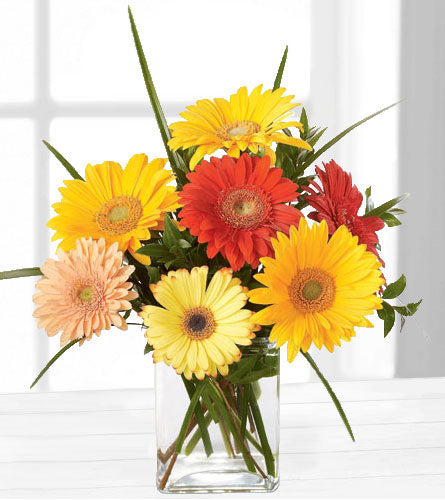 Happiness Bouquet - arrangement of colourful gerbera daisies in a clear glass vase .