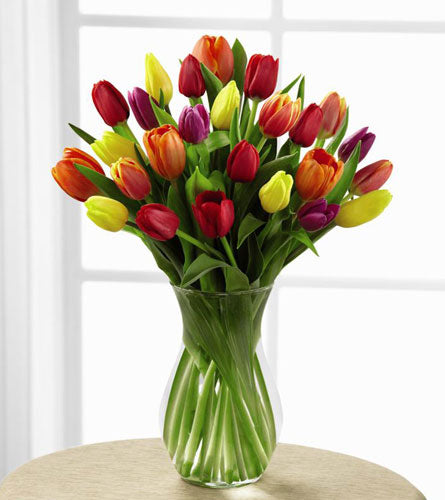 Premium Bright Lights Tulip Bouquet - arrangement of colourful mixed tulips in a clear glass vase