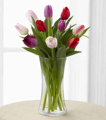 Arrangement of mixed colorful tulips in a tall, clear glass vase.