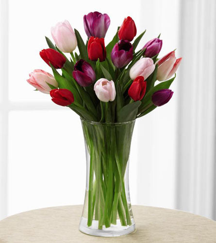 Deluxe Tender Tulips Bouquet - colourful mix of pink, purple and white tulips in a clear vase.