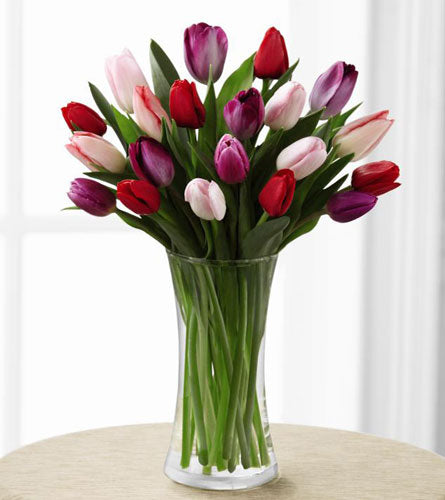 Premium Tender Tulips Bouquet - arrangement of pink, purple and white tulips in a clear.
