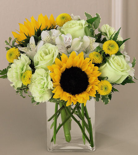 FTD's Sunset Bouquet - arrangement of yellow sunflowers and green roses in a clear vase.