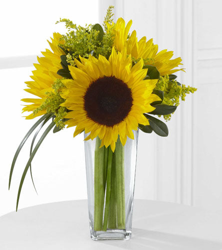 FTD's Sunshine Daydream Bouquet - arrangement of sunflowers and solidago in a clear, tall glass vase.