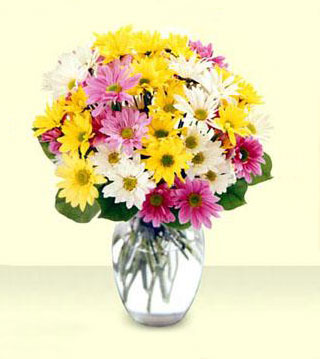 FTD's Mixed Daisy Bouquet - Colourful arrangement of mixed flowers in a clear glass vase.