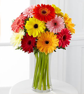 Gerbera Daisy Arrangement - Bouquet of colorful gerbera daisies in a clear glass vase.