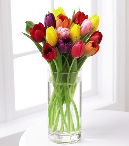 Deluxe Bright Lights in a Cylinder Vase - bouquet of colourful tulips in a clear glass vase.