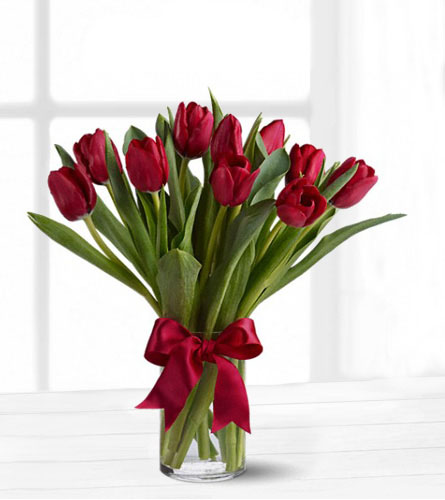 Radiantly Red Tulips