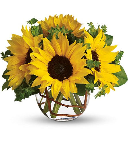 Sunny Sunflowers - Bouquet of sunflowers in a clear glass bubble bowl.