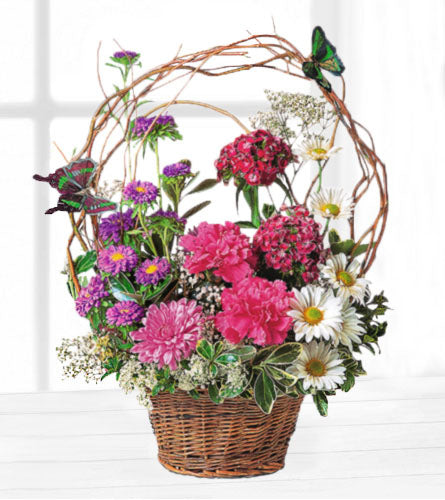 Touch of Butterflies Basket - floral arrangement in a woven basket with colourful flowers and decorative butterflies.