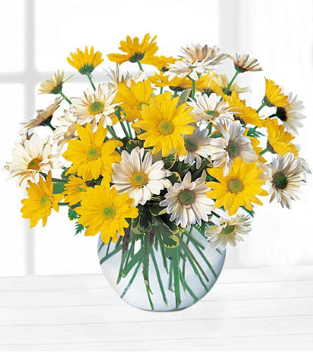Dashing Daisies - bouquet of yellow and white daisies in a clear glass bubble bowl.