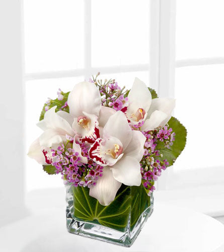 Lovely Orchids - cube glass vase with white orchids and pink wax flowers.