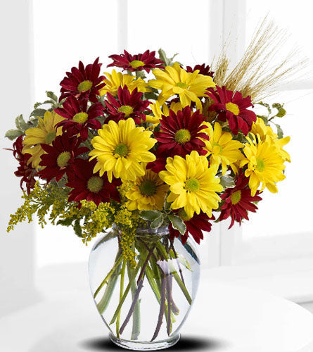 Fall for Daisies - Bouquet of red and yellow daisies in a clear glass vase.